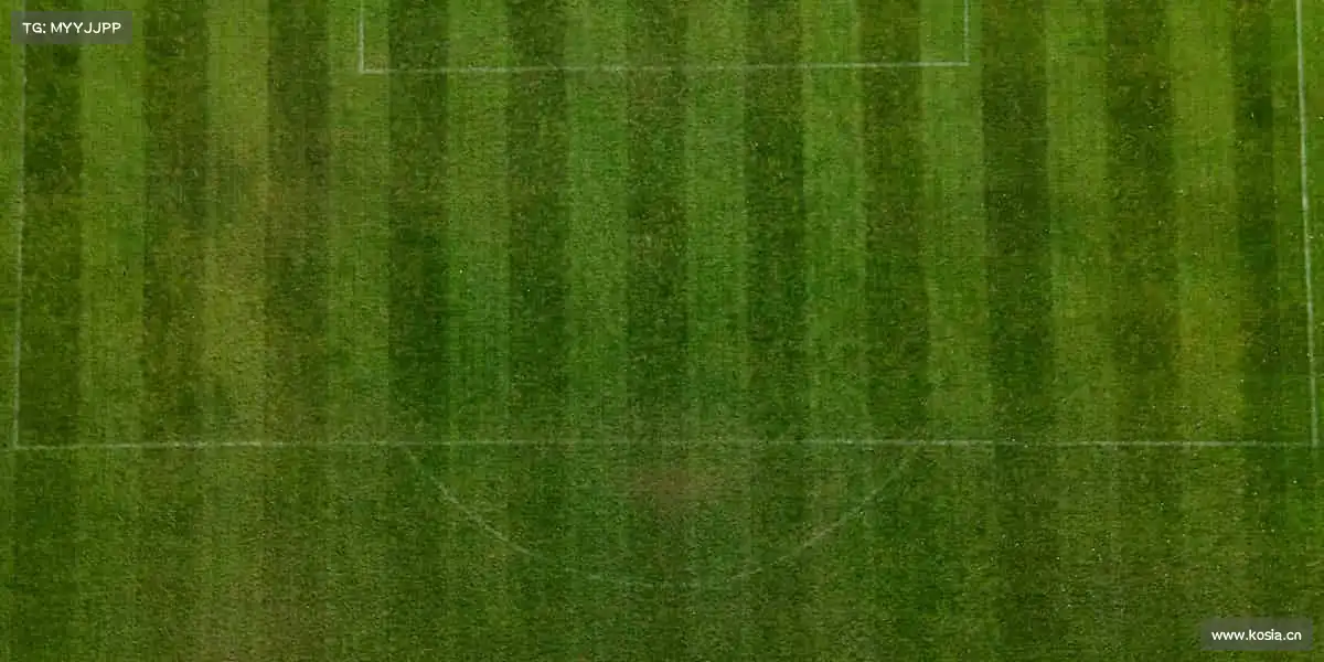 南宫NG28🌟从迈出第一步到站上巅峰，体育陪你成就每一个梦想！